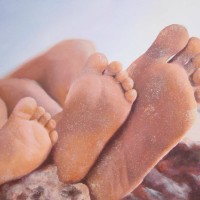 Family of Feet – 30 x 24